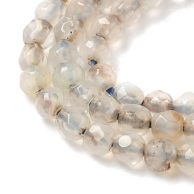Natural Agate Beads Strands G-H302-A04-01-1