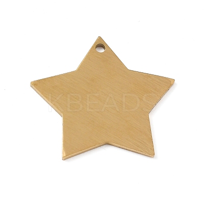 Ion Plating(IP) 304 Stainless Steel Pendants STAS-F271-04D-G-1