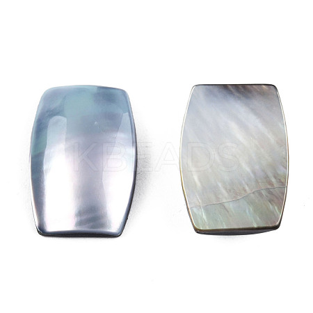 Natural Turbo Cornulus/Top Shells Cabochons SSHEL-N003-153A-1