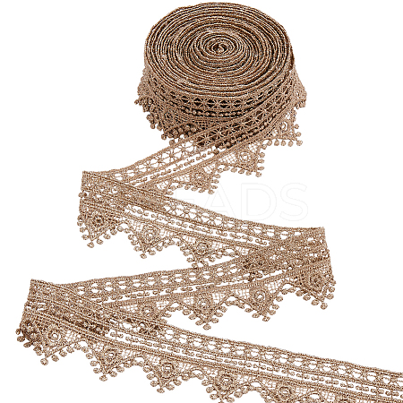 5 Yards Polyester Embroidery Lace Trim Ribbon OCOR-CY0001-23C-1