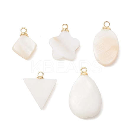 5Pcs 5 Styles Natural Shell Pendants PALLOY-JF04892-1
