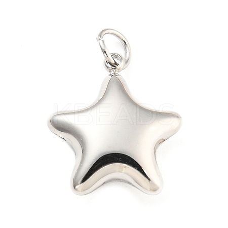 Non-Tarnish 304 Stainless Steel Charms STAS-P333-07P-1