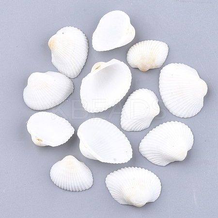 Clam Shell Beads SSHEL-S258-48-1