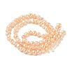 Natural Cultured Freshwater Pearl Beads Strands PEAR-C004-19B-03-3