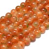 Natural Malaysia Jade Beads Strands G-L645-C01-12mm-29-1