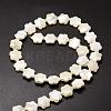Natural Trochid Shell/Trochus Shell Beads Strands SSHEL-K010-03-2