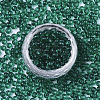 6/0 Transparent Glass Seed Beads SEED-S040-09A-05-2