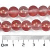 Frosted Transparent Glass Bead Strands GLAA-P065-10mm-06-3