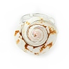 Natural Shiva Eye Shell Finger Rings RJEW-TA00174-4