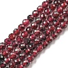 Natural Garnet Beads Strands G-O186-D01-A-1