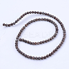 Natural Snowflake Obsidian Beads Strands G-Q462-10mm-37-2