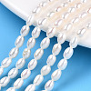 Natural Cultured Freshwater Pearl Beads Strands LS-PEAR-N012-04K-1