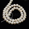 Natural Cultured Freshwater Pearl Beads Strands PEAR-N013-06I-3