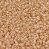 MIYUKI Delica Beads Small LS-X-SEED-J020-DBS0852-3
