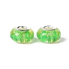 Rondelle Resin European Beads RPDL-A001-01-09-3
