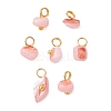 Dyed Natural Freshwater Shell Nuggets Charms PALLOY-JF05032-02-1