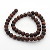 Frosted Natural Tiger Eye Round Bead Strands G-M272-16-8mm-2