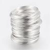 Carbon Steel Memory Wire FIND-S601-0.6x55mm-S-1