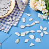 Triangle/Polygon/Rectangle/Horse Eye/Rhombus Acrylic Connector Charms MACR-PH0001-85A-5