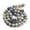 Natural Hackmanite Sodalite Beads Strands G-Z063-A03-02-3