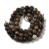 Natural Chiastolite Beads Strands G-Q161-A03-03-3