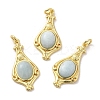 Natural Mixed Stone Pendants G-C096-03G-2