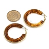 304 Stainless Steel Hoop Earrings For Women EJEW-B113-02G-03-5