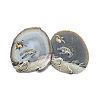 Printed Natural Agate Slice Stone Ornament DJEW-M011-03H-1