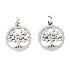 304 Stainless Steel Pendants LS-STAS-T046-JA350-1A-P-3