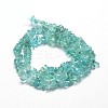 Natural Apatite Chip Beads Strands G-E271-80-2