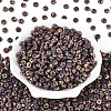 Picasso Glass Seed Beads SEED-N010-01G-2