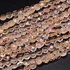 Natural Citrine Flat Round Bead Strands G-O099-06-C-1