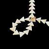 Triangle Natural Sea Shell Beads Strands X-SSHEL-F290-11-2