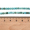 Natural HuBei Turquoise Beads Strands G-P629-D01-01-5