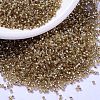 MIYUKI Delica Beads X-SEED-J020-DB2155-1