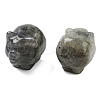 Natural Labradorite Carved Figurines DJEW-L023-C12-1