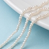Natural Cultured Freshwater Pearl Beads Strands PEAR-G007-42-6