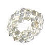 Electroplate Glass Beads Strands EGLA-L032-FR04-3