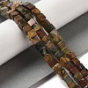 Natural Picasso Jasper Beads Strands G-Q161-C01-02-2