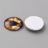 Glass Cabochons LS-GLAA-WH0033-75G-07-2