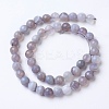 Natural Banded Agate Beads Strands G-G754-02-10mm-2