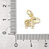 Brass Micro Pave Cubic Zirconia Charms ZIRC-I356-15G-06-3