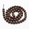 Natural Bronzite Bead Strands LS-G-D840-57-10mm-2