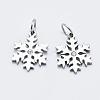 Eco-Friendly 316 Surgical Stainless Steel Micro Pave Cubic Zirconia Charms X-RB-I078-71P-NR-1