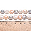 Natural Cultured Freshwater Pearl Beads Strands PEAR-N014-09A-03-6
