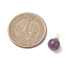 Natural Amethyst & Rose Quartz & Quartz Crystal & Apatite & Green Aventurine Round Charms PALLOY-JF04778-2