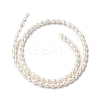Natural Cultured Freshwater Pearl Beads Strands PEAR-C004-03-3