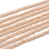 Glass Beads Strands GLAA-L031-01-C06-1
