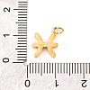 316 Stainless Steel Micro Pave Cubic Zirconia Pendants LS-STAS-K284-01H-G-3