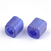6/0 Transparent Glass Seed Beads SEED-S027-03B-13-2